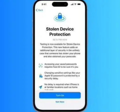 韶山苹果授权维修店分享被盗设备保护功能开启方法 