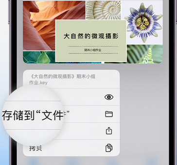 韶山apple维修中心分享iPhone文件应用中存储和找到下载文件