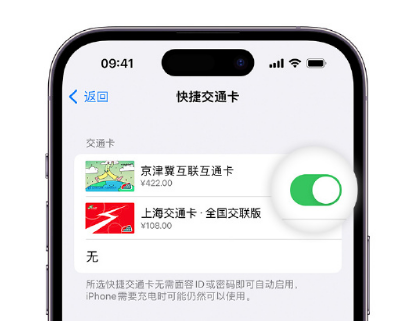 韶山apple维修点分享iPhone上更换Apple Pay快捷交通卡手绘卡面 