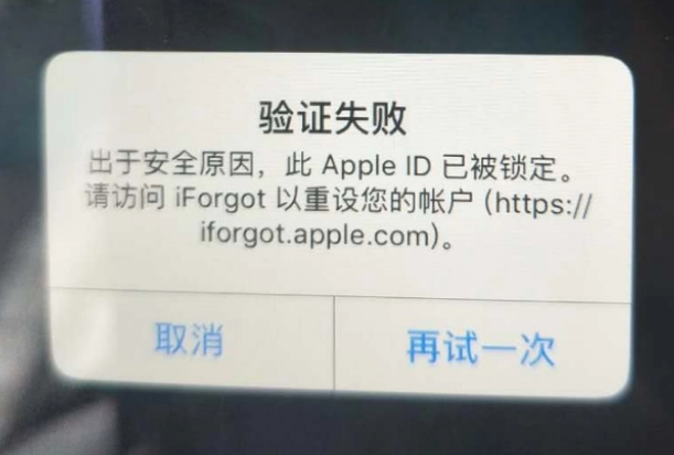 韶山iPhone维修分享iPhone上正常登录或使用AppleID怎么办 