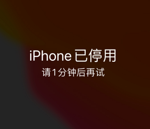 韶山苹果手机维修分享:iPhone 显示“不可用”或“已停用”怎么办？还能保留数据吗？ 