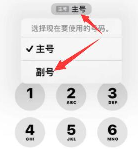 韶山苹果14维修店分享iPhone 14 Pro Max使用副卡打电话的方法 