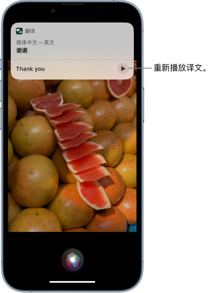 韶山苹果14维修分享 iPhone 14 机型中使用 Siri：了解 Siri 能帮你做什么 