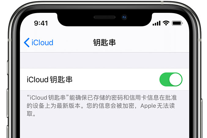 韶山苹果手机维修分享在 iPhone 上开启 iCloud 钥匙串之后会储存哪些信息 